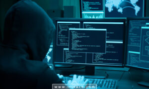 نقش خطای انسانی در افزایش تهدیدات سایبری
